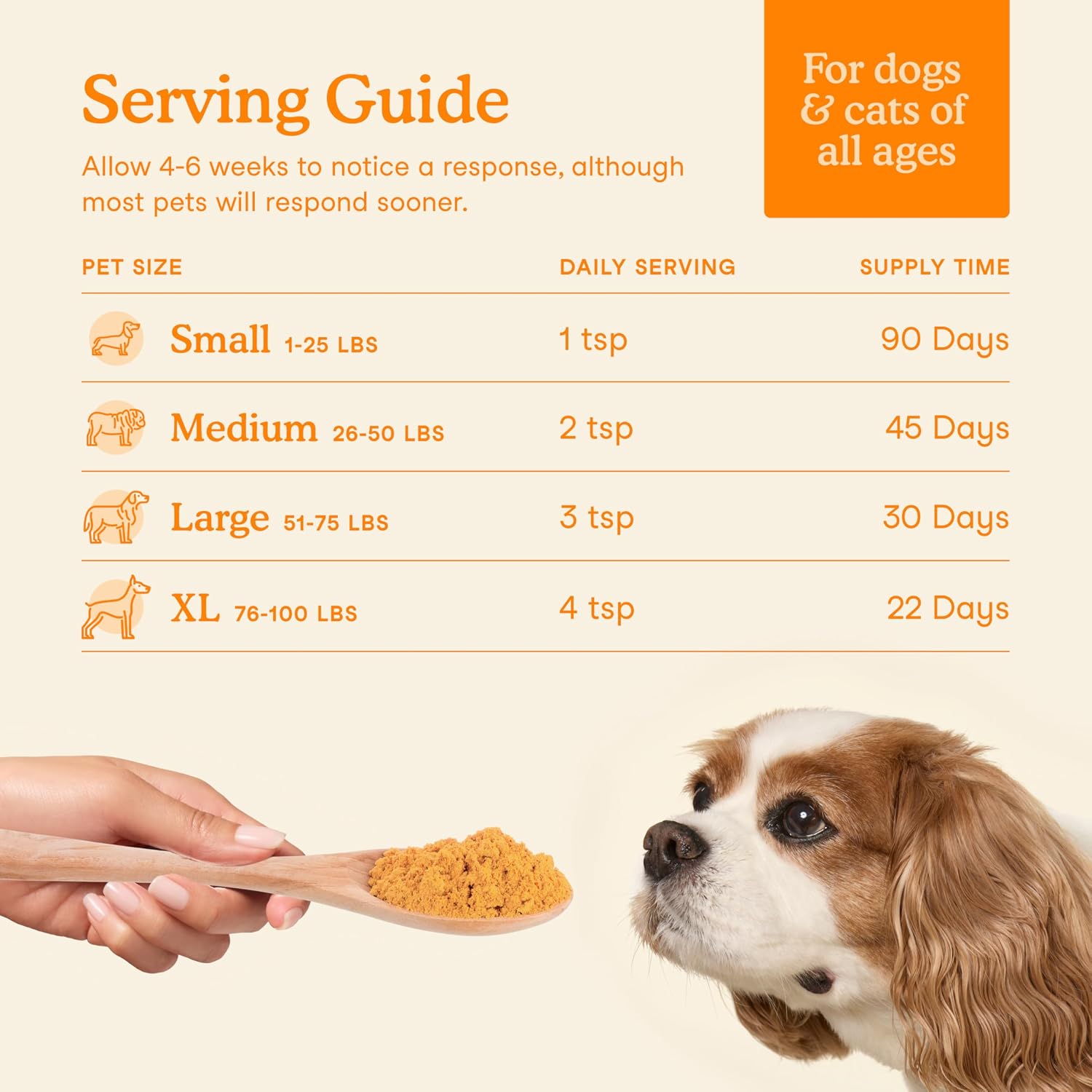 Fera Pets Pumpkin Plus powder mixed into pet food