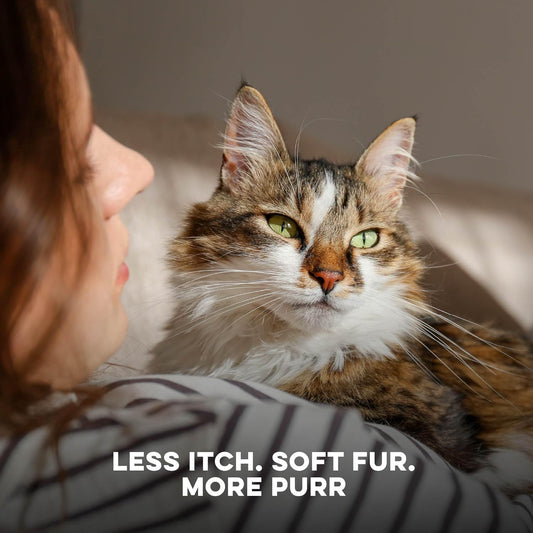BestLife4Pets cat hair loss treatment pills for reducing dandruff and scratching.