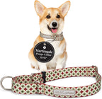 Lucky Love Dog Martingale Dog Collar - Adjustable, No-Slip, Durable, & Soft Webbing Collar for Male and Female Dogs Ideal for Training & Walking - Blackbird, Medium - Image 13