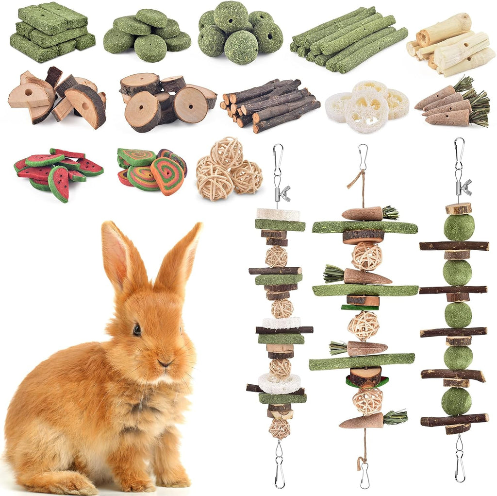 Small rodent pet interacting safely with natural wood molar toys.