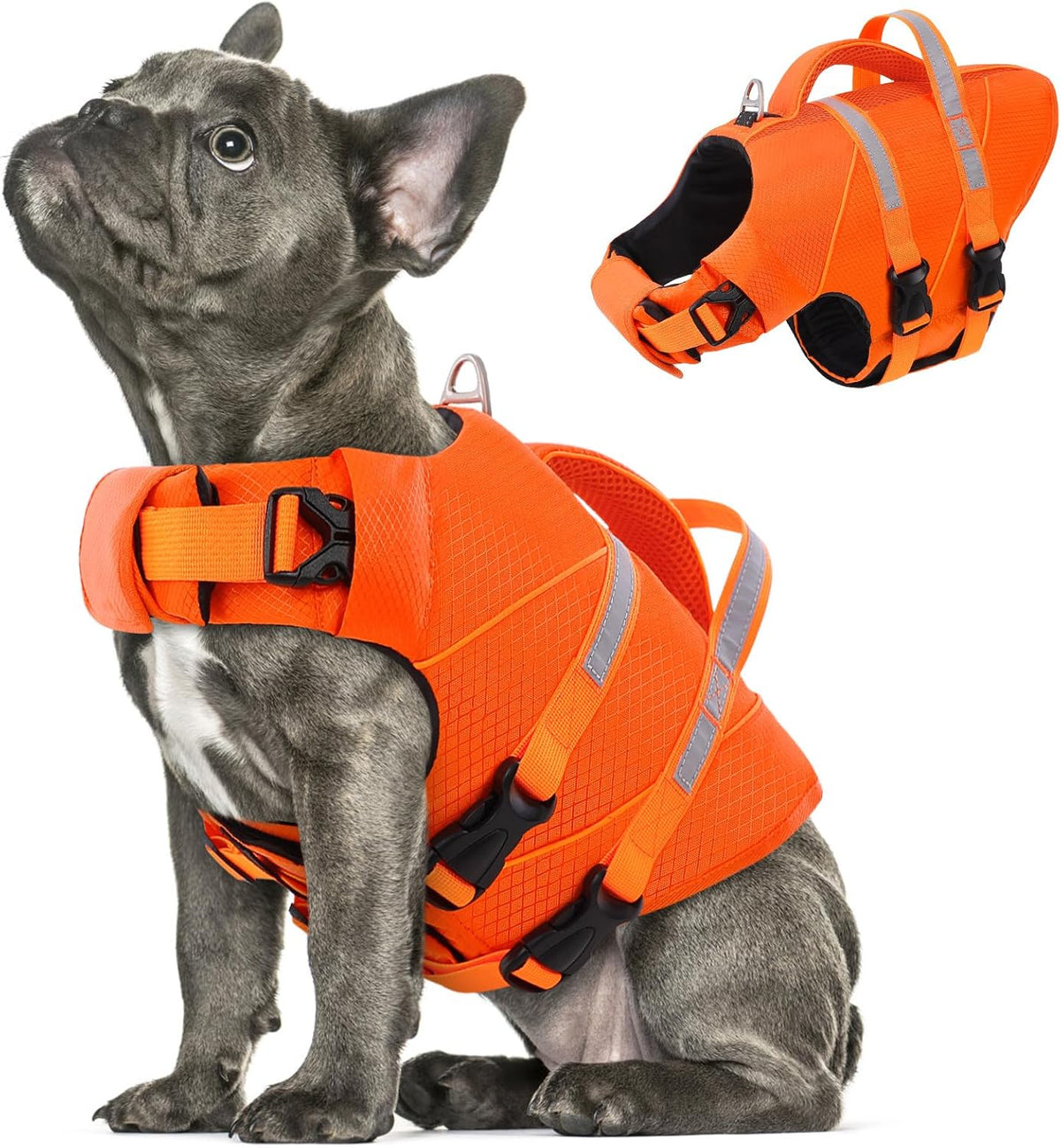 Queenmore dog flotation jacket premium stitching details on high buoyancy material