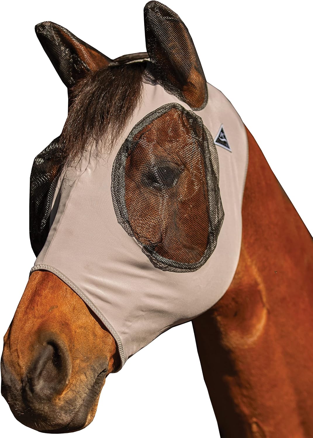 Close up of breathable eye mesh on horse fly mask