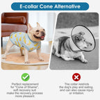 Cyeollo medical pet clothing showing close up details of the premium stitching and fabric texture