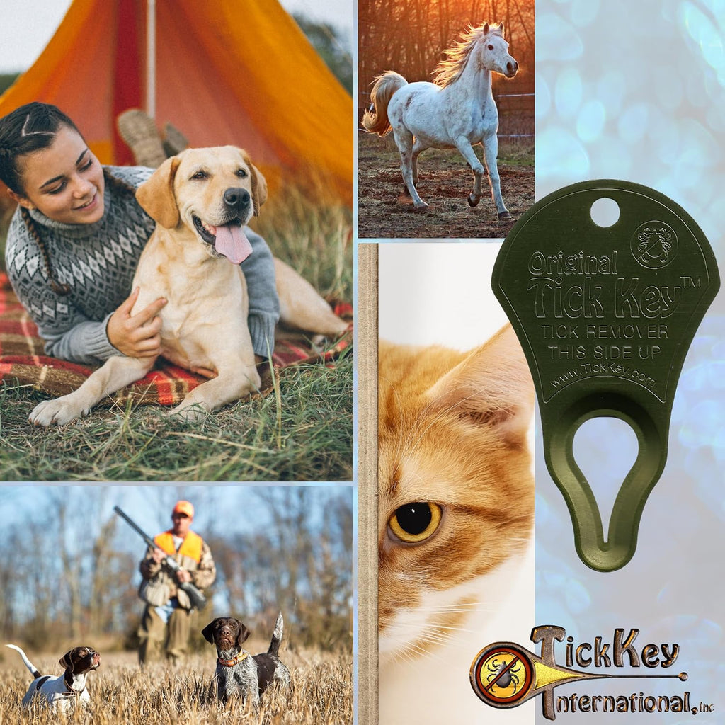 The Tick Key safe tick extraction device layout displaying thin profile