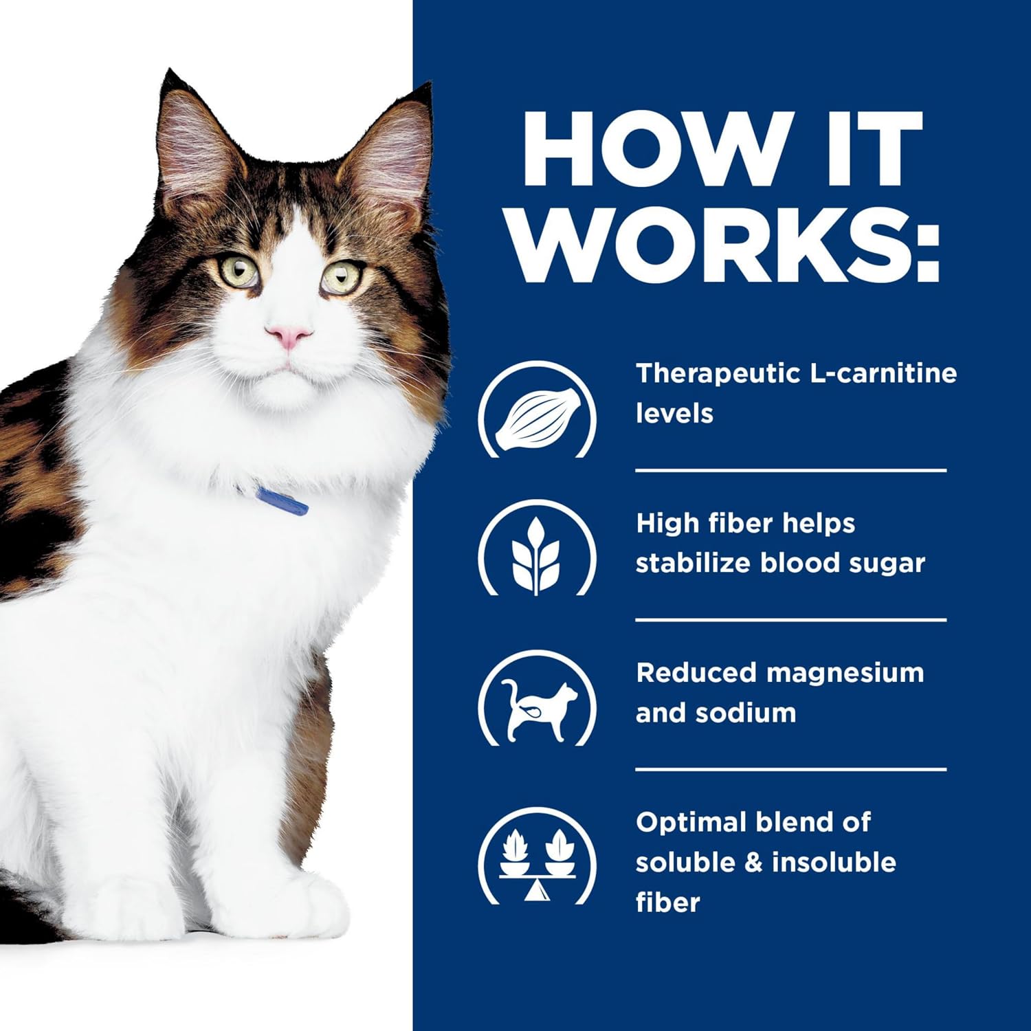 Hill's Prescription Diet w/d feline weight and glucose management wet food feeding guide directions