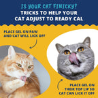 Under The Weather Ready Cal 100cc nutritional supplement for cats