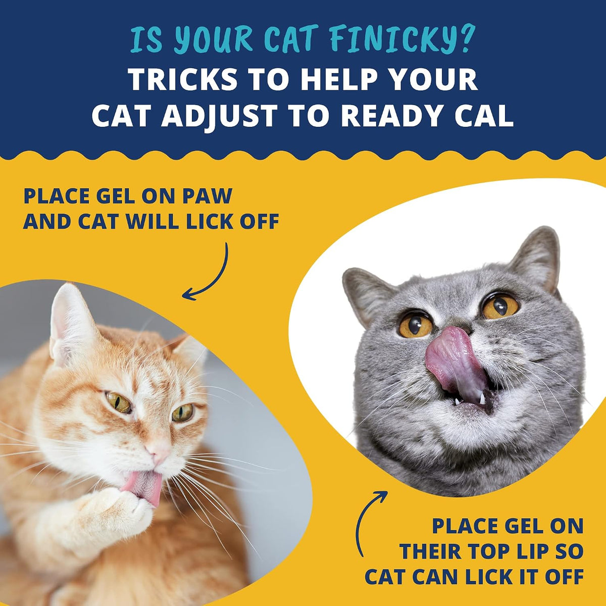 Under The Weather Ready Cal 100cc nutritional supplement for cats