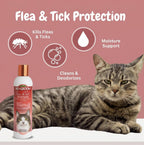 Bio-Groom protein lanolin enriched flea shampoo for dogs showing dilution instructions