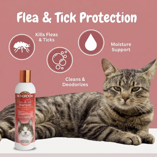 Bio-Groom protein lanolin enriched flea shampoo for dogs showing dilution instructions