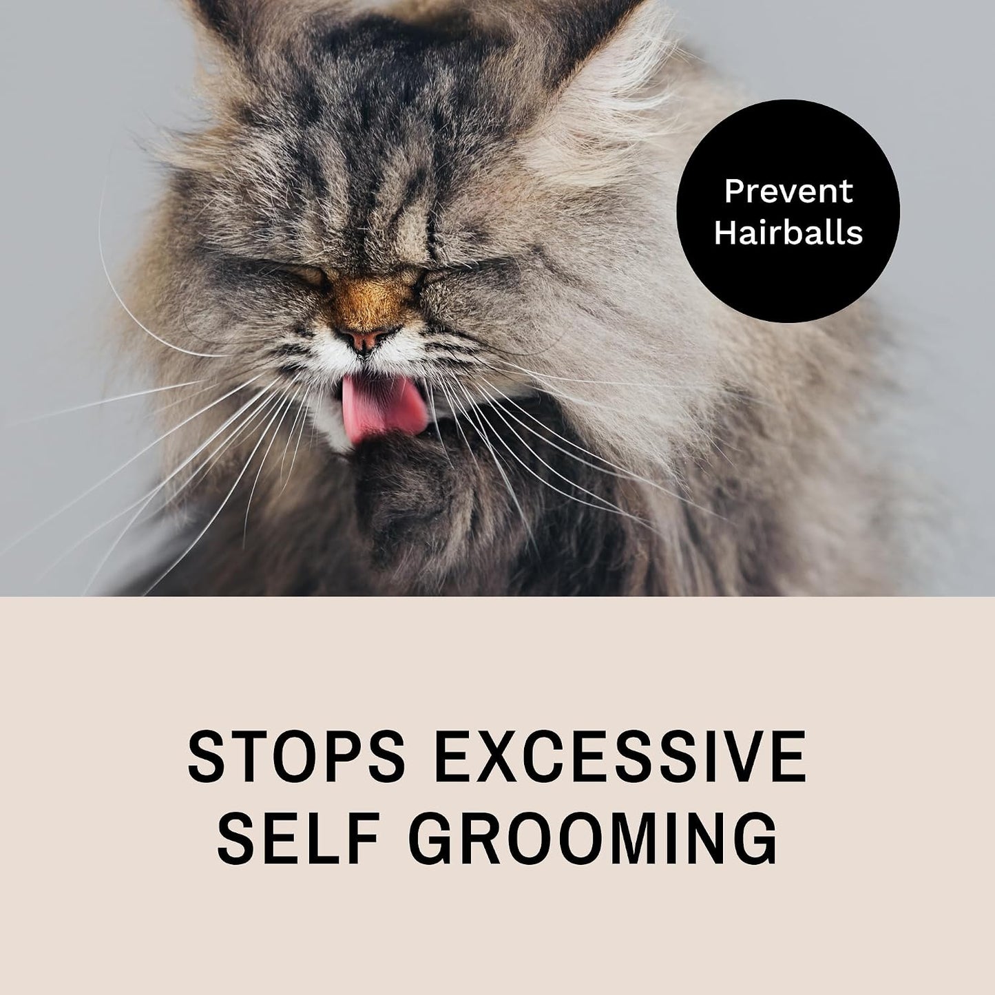 Eye Envy ProGlide comb removing loose fur from cat