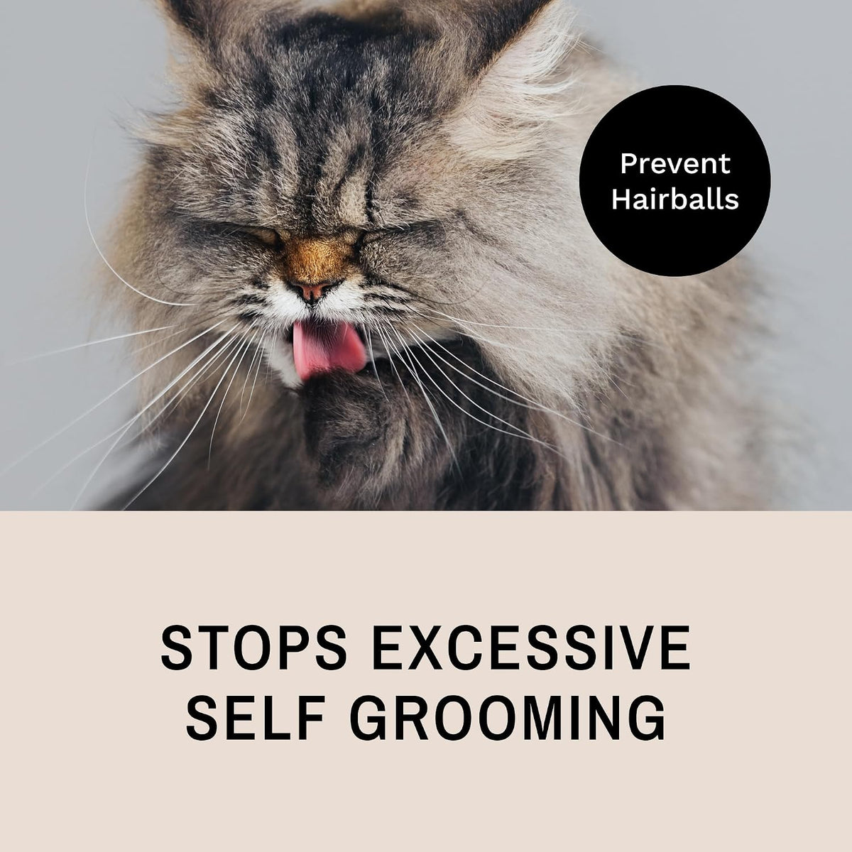 Eye Envy ProGlide comb removing loose fur from cat