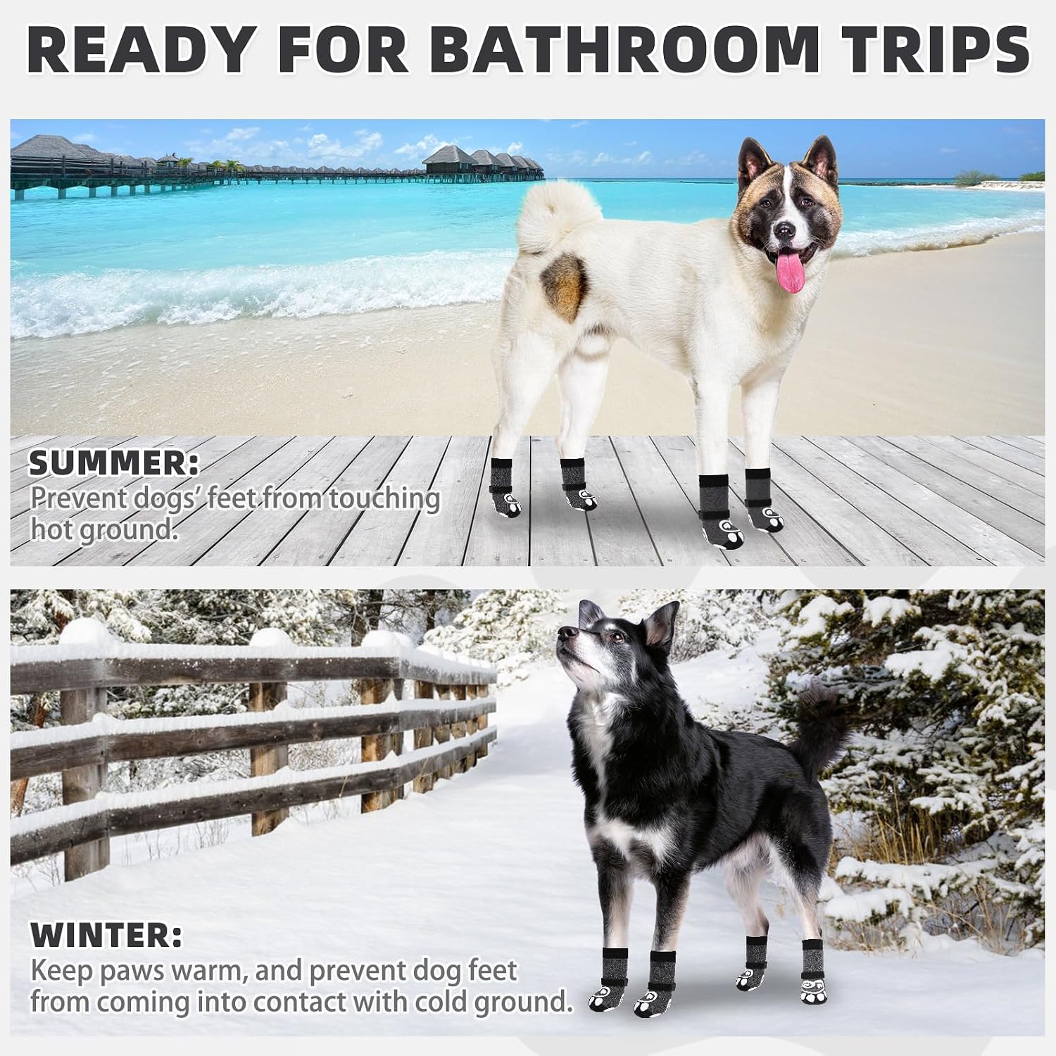 Kooltail paw protector socks for hot pavement protection