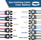 GoTags adjustable dog collar demonstrating stainless steel D-ring