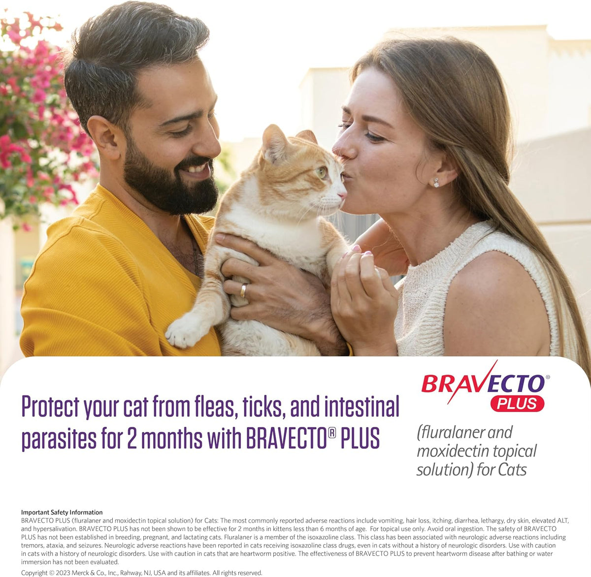 USA imported Bravecto Plus topical treatment for cats