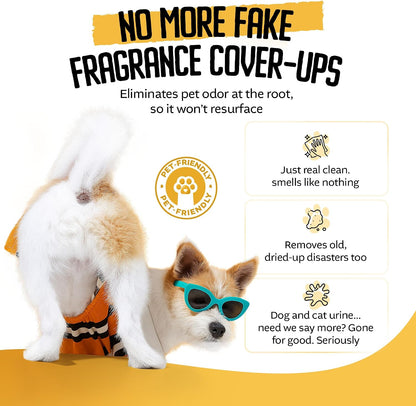 Piss Off non toxic pet urine and poop deodorizer for home upholstery