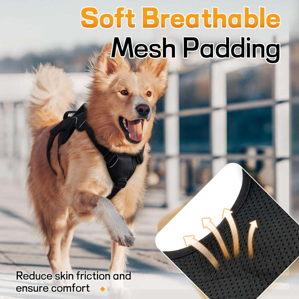 Back metal D-ring for leash on rabbitgoo harness