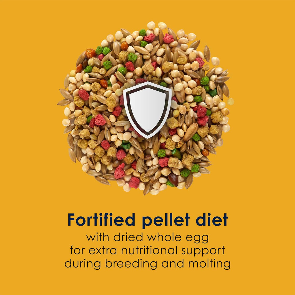 Healthy parakeet eating Kaytee nutrient-rich seed blend