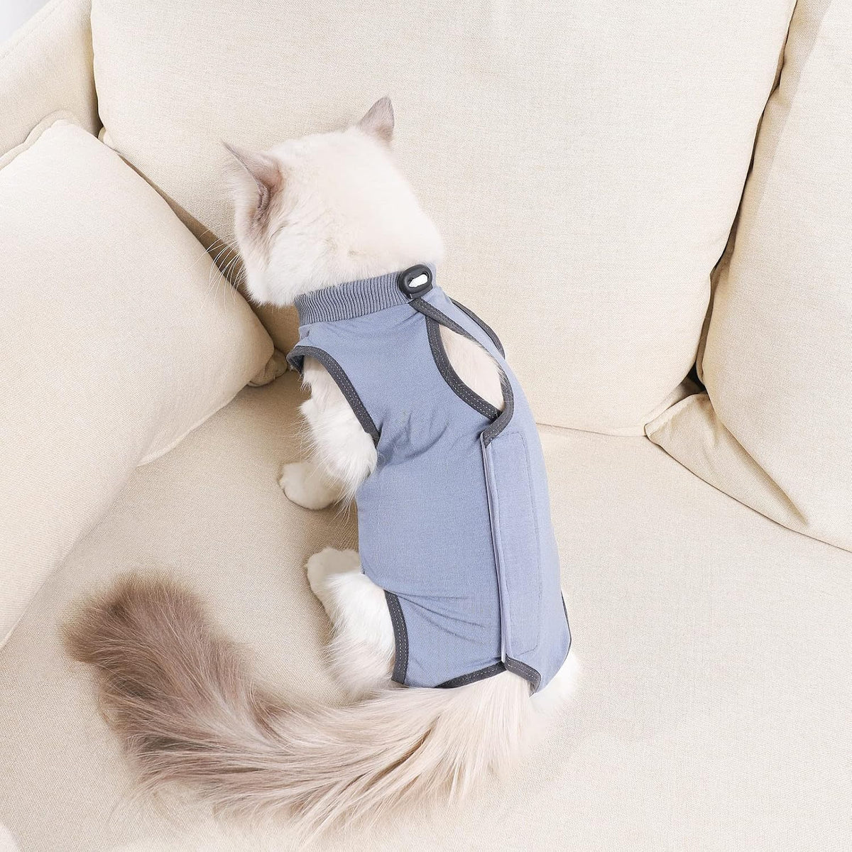 Litter box friendly cat recovery wear in large size for pet healing