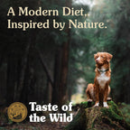 Taste of the Wild genuine USA imported high protein dry dog food product dimensions view