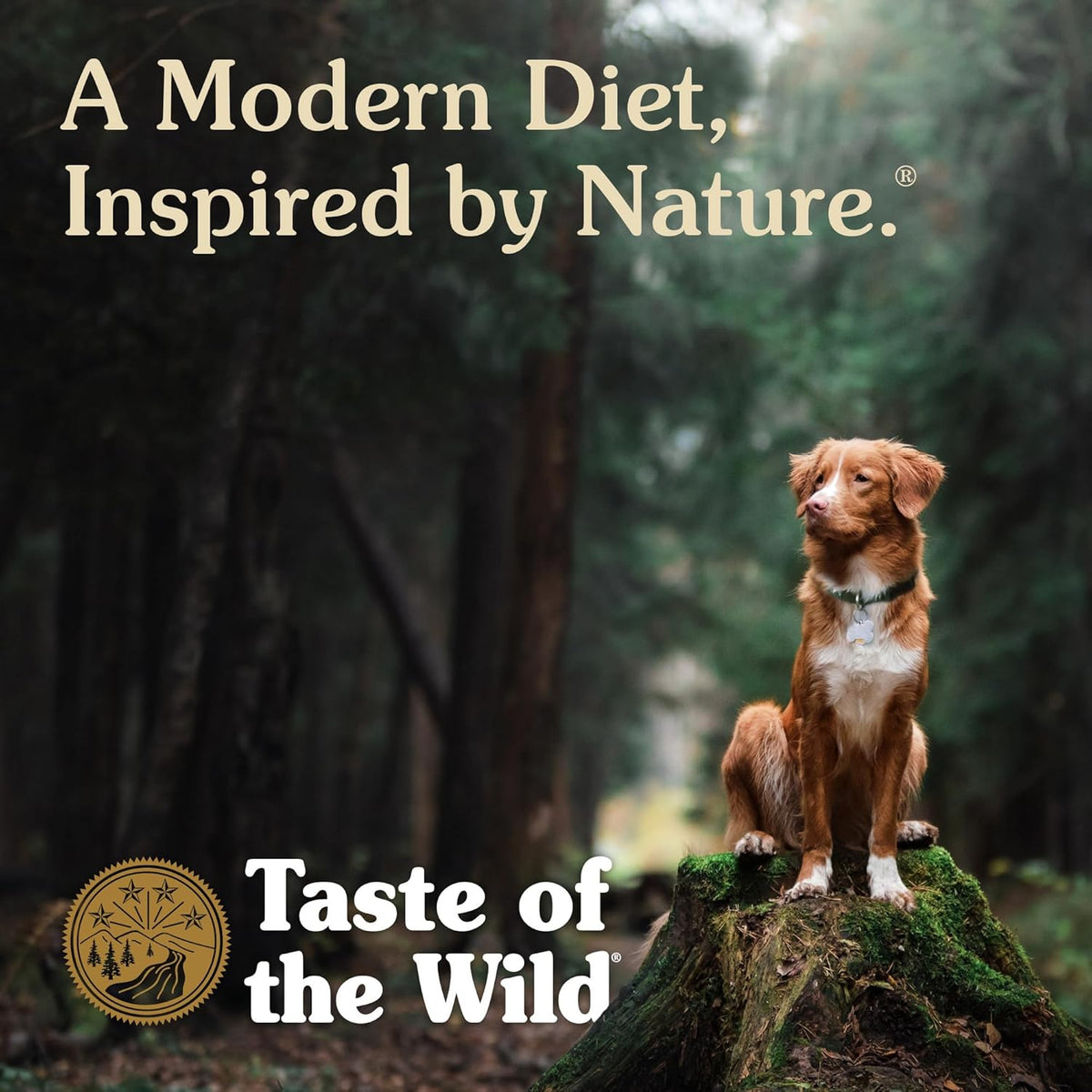 Taste of the Wild genuine USA imported high protein dry dog food product dimensions view