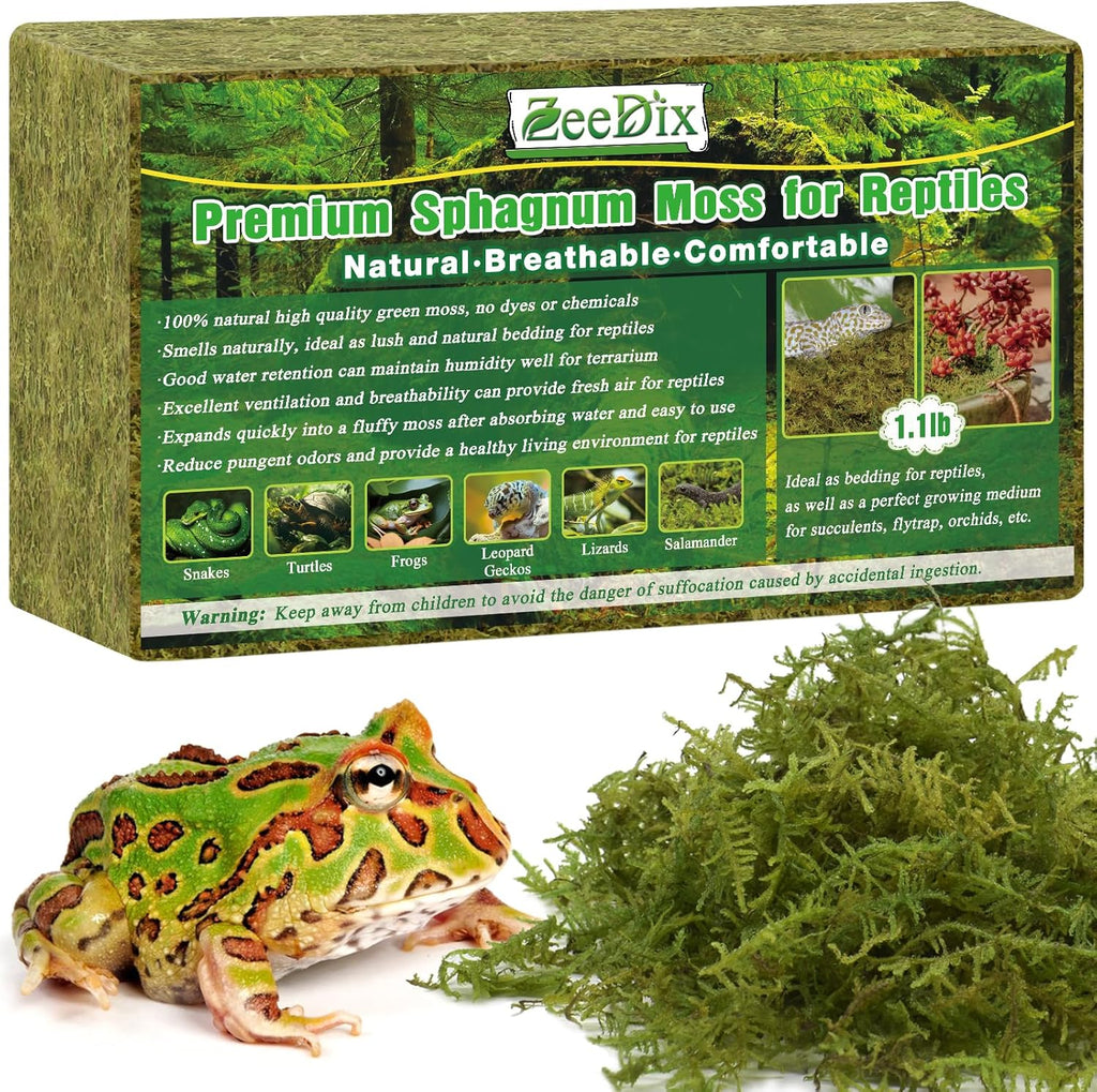 A clean tortoise habitat featuring natural moisture regulating moss flooring.