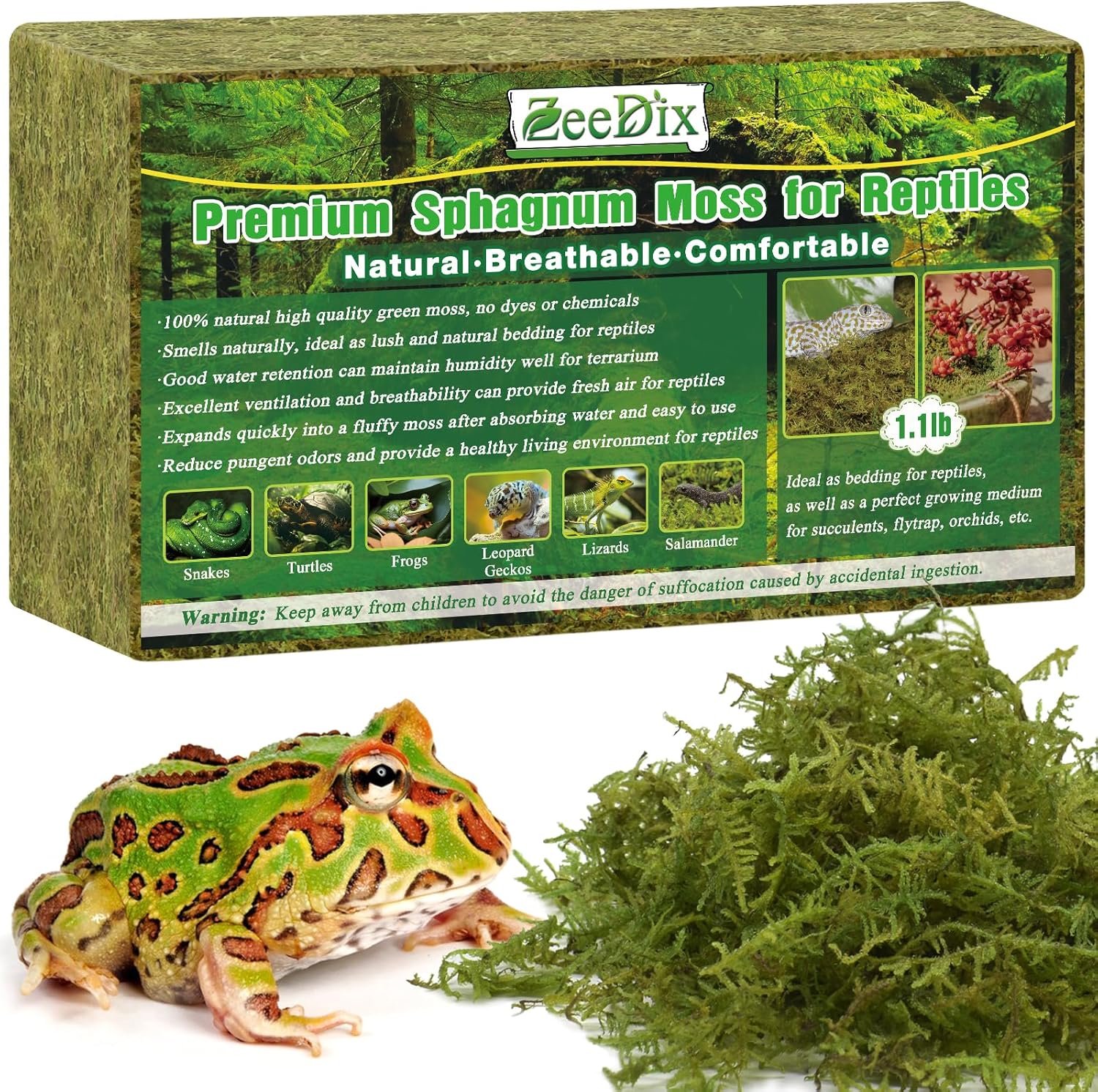A clean tortoise habitat featuring natural moisture regulating moss flooring.