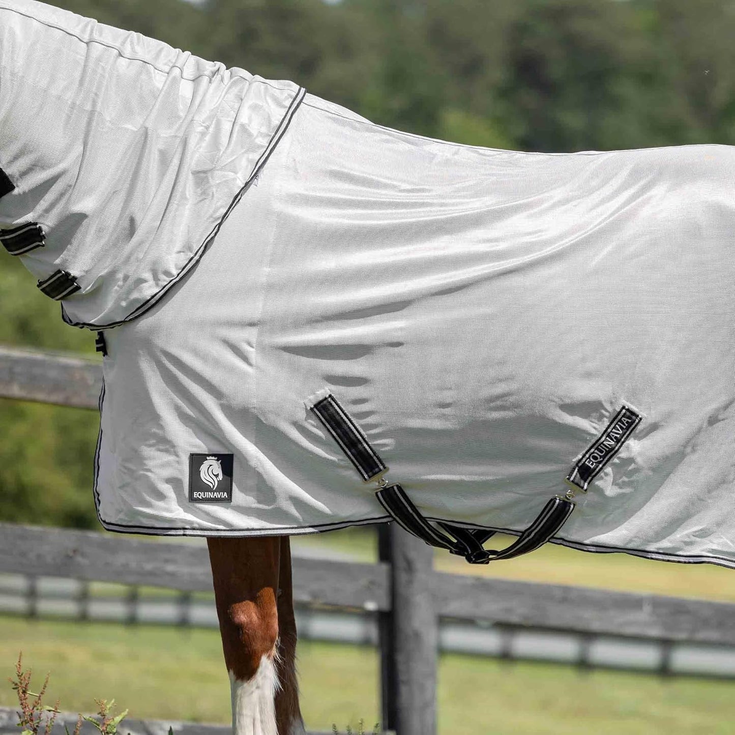 Equinavia horse fly sheet highlighting the adjustable double cross surcingles under the belly.