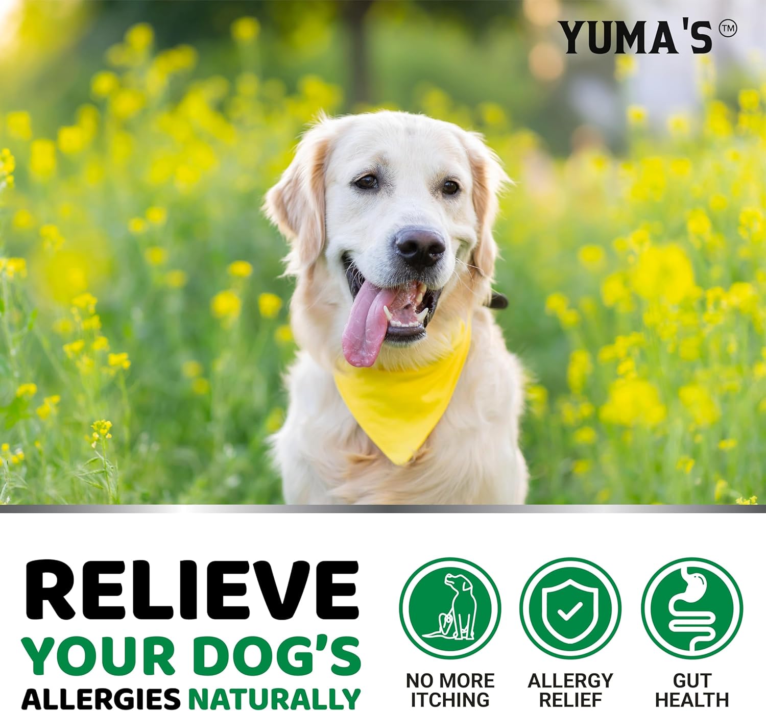 Soft chewable dog allergy treats for hot spots and paw licking prevention