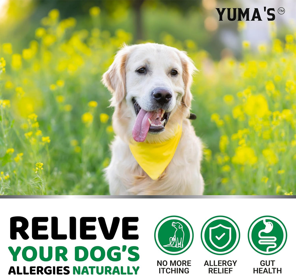 Soft chewable dog allergy treats for hot spots and paw licking prevention