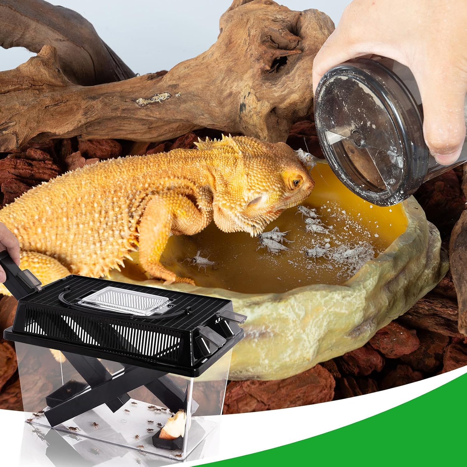 Professional reptile feeding maintenance tool set