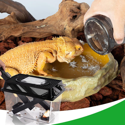 Professional reptile feeding maintenance tool set