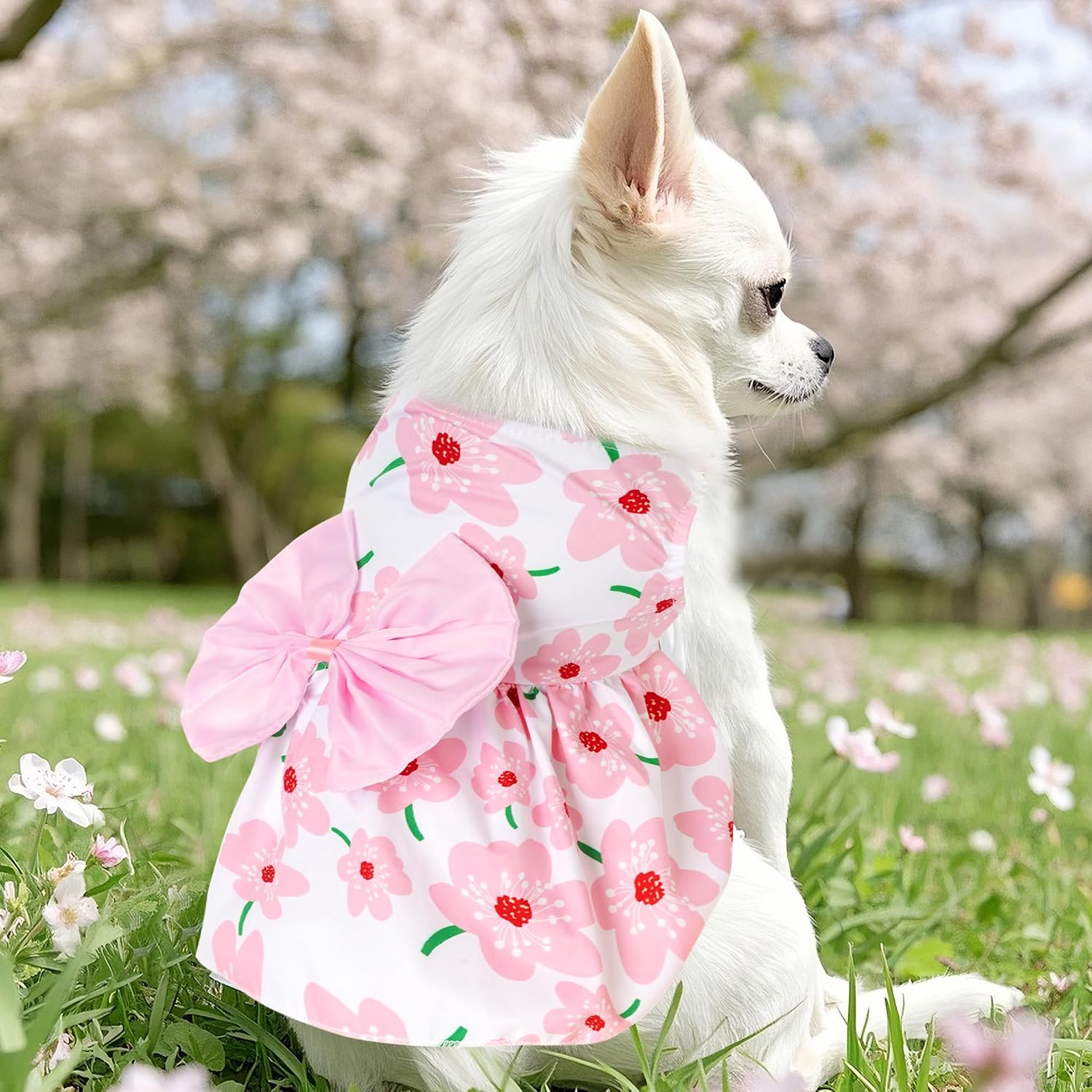 Choyaxo cute dog skirt back view highlighting the breathable fabric and flared hemline.