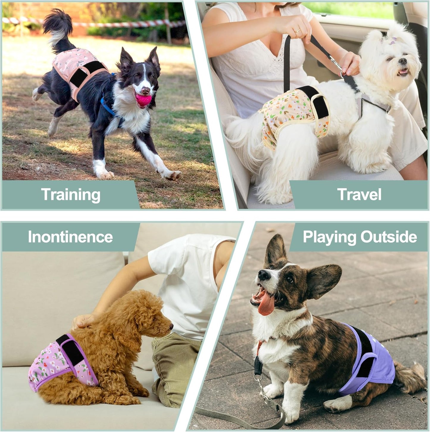 Grecle reusable female pet panties demonstrating the flexible non stick Velcro tabs