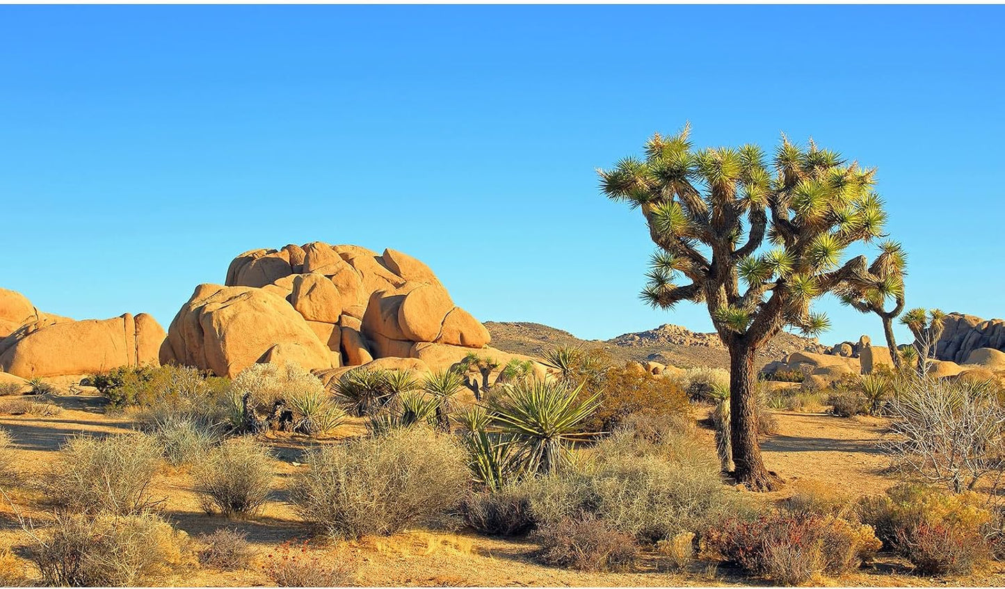 Reptile Habitat Background Sunset Desert Terrarium Background Towering Saguaro Cacti Silhouetted Against Sky Rugged Terrain Vibrant Desert Colors Landscape Tank Backdrop Vinyl 48x18in - Image 14