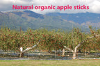 Small animal dental chew sticks in hand