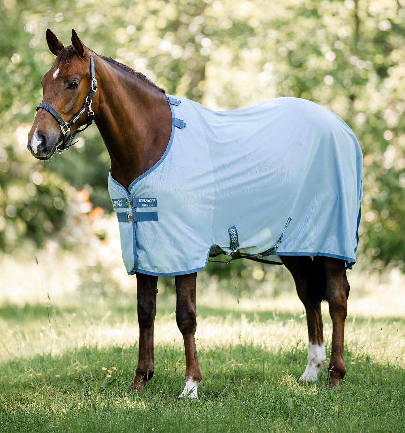 Horseware Amigo Bug Rug Fly Sheet Heather Blue front view premium protective equine gear