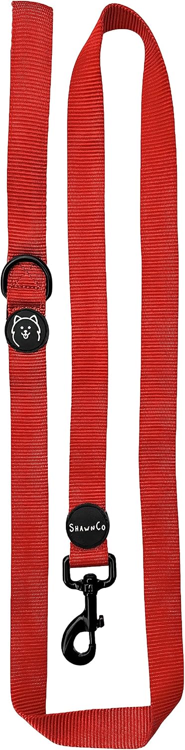 Six foot long purple dog walking leash for medium and large breeds