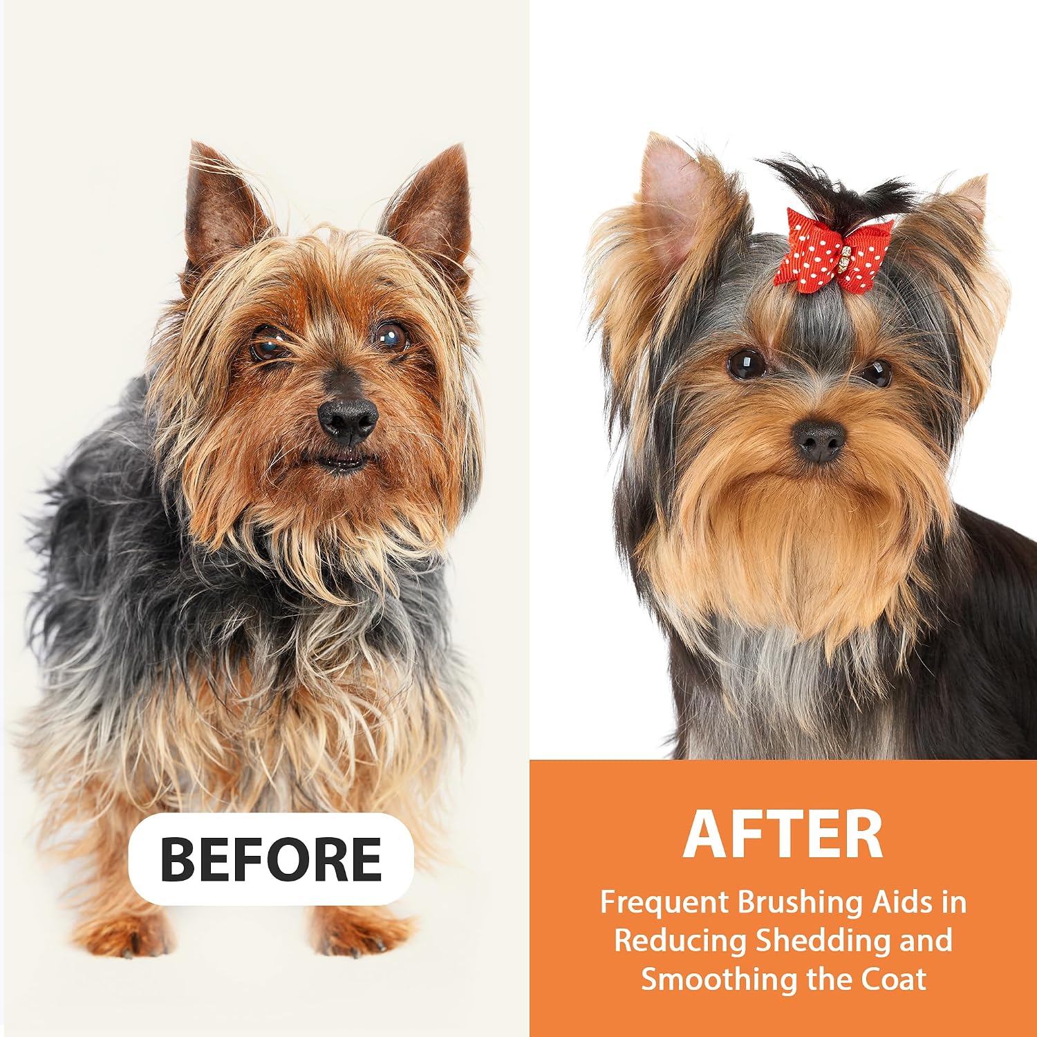 Eco friendly beech wood pet brush by Groomage placed on a clean surface showcasing premium build.