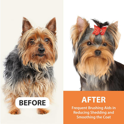 Eco friendly beech wood pet brush by Groomage placed on a clean surface showcasing premium build.
