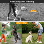 Black dog classic collar and matching leash set for behavior training.