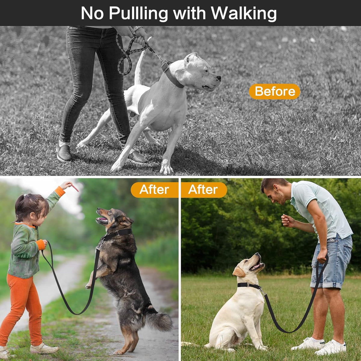 Black dog classic collar and matching leash set for behavior training.