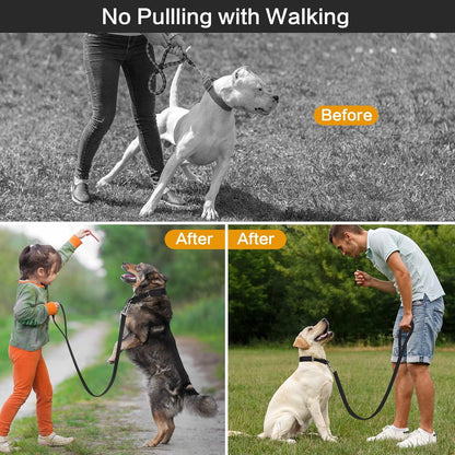 Black dog classic collar and matching leash set for behavior training.