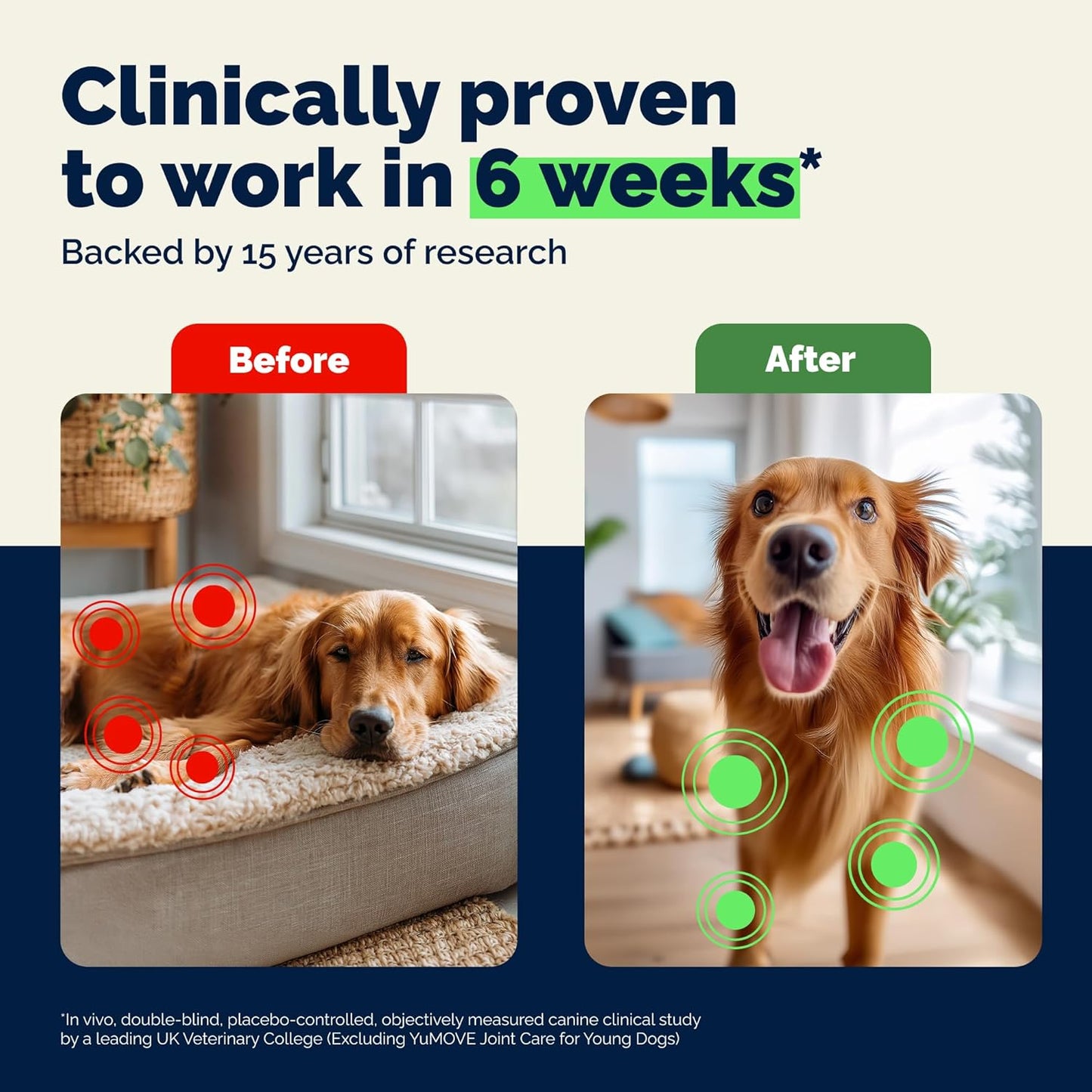 Back label of YuMOVE adult dog joint support chews with daily dosage chart