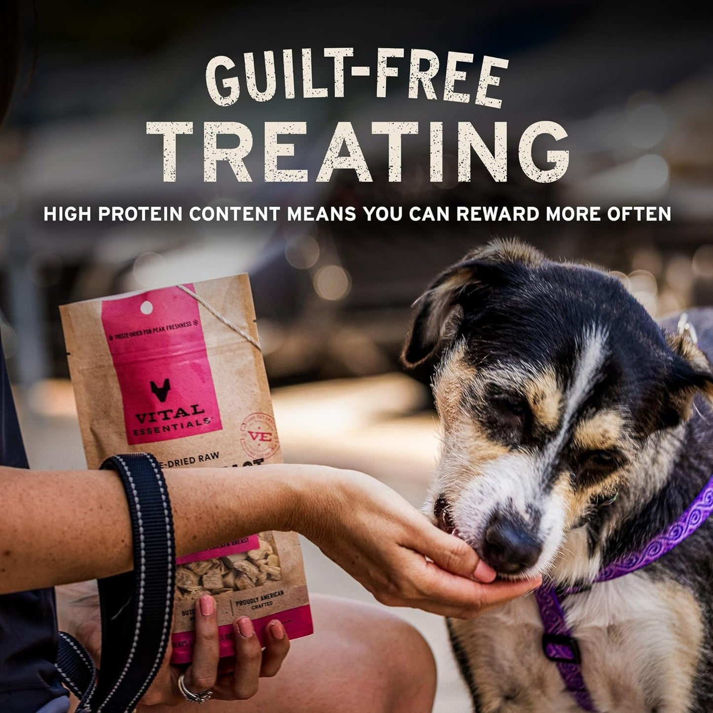 Vital Essentials gluten free whole animal protein snacks for sensitive dogs