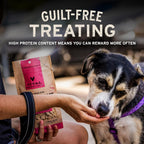 Natural grain free dog treats made with pure butcher cut raw salmon