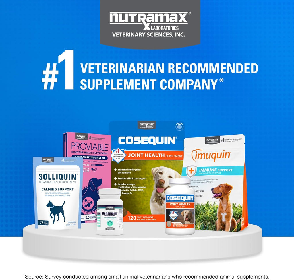Premium imported nutramax pet supplement package for elder dog vitality