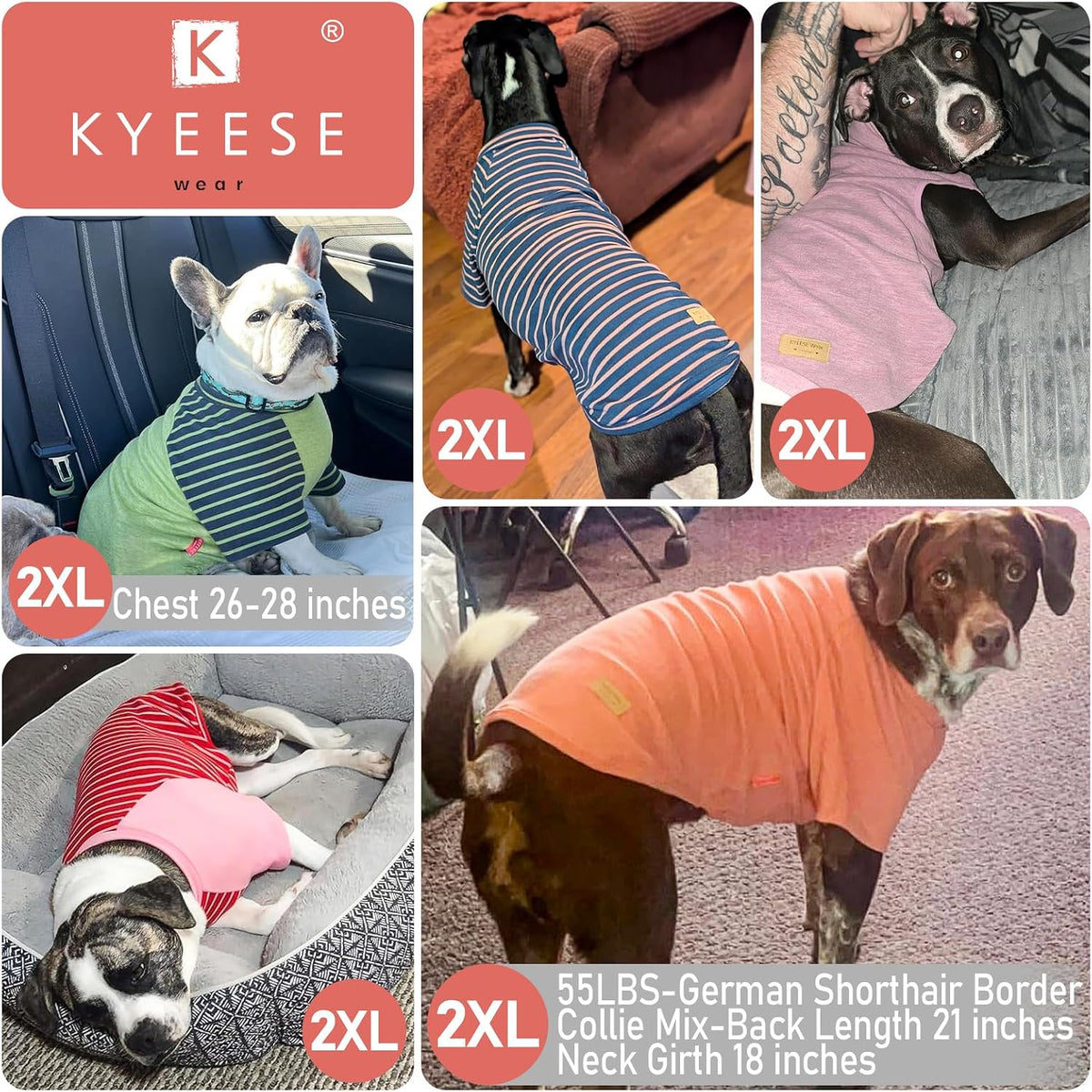Comfortable imported pet clothes for large active dogs indoor view