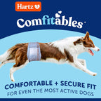Hartz comfitables male dog belly bands size small forty count