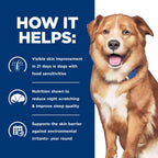 Veterinary exclusive Derm Complete original flavor dog food case presentation