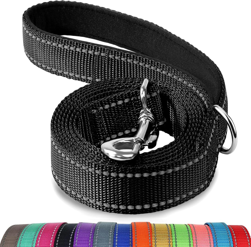 Joytale reflective nylon dog leash black front view heavy duty walking lead.